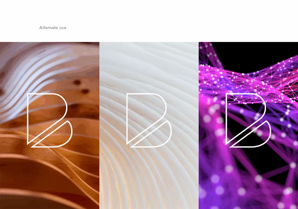 BPP Visa Identidade Visual Marca logotipo